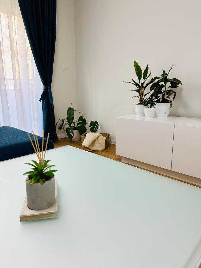 Daylight Apartment สโกเปีย ภายนอก รูปภาพ